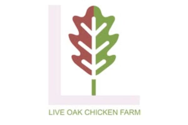 Chickens For Sale Houston ; Live Oak Chicken Farm