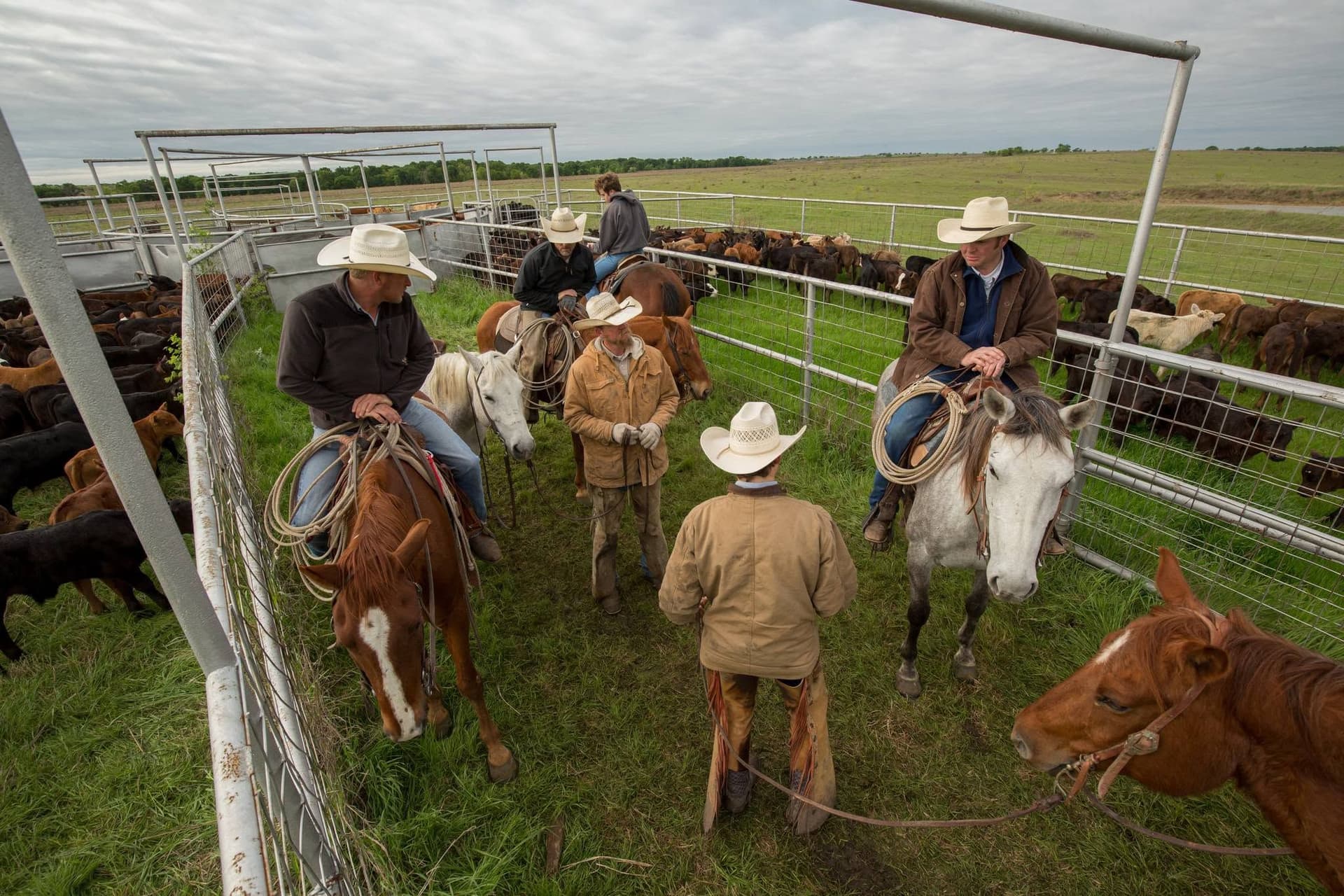 King Ranch Institute for Ranch Management