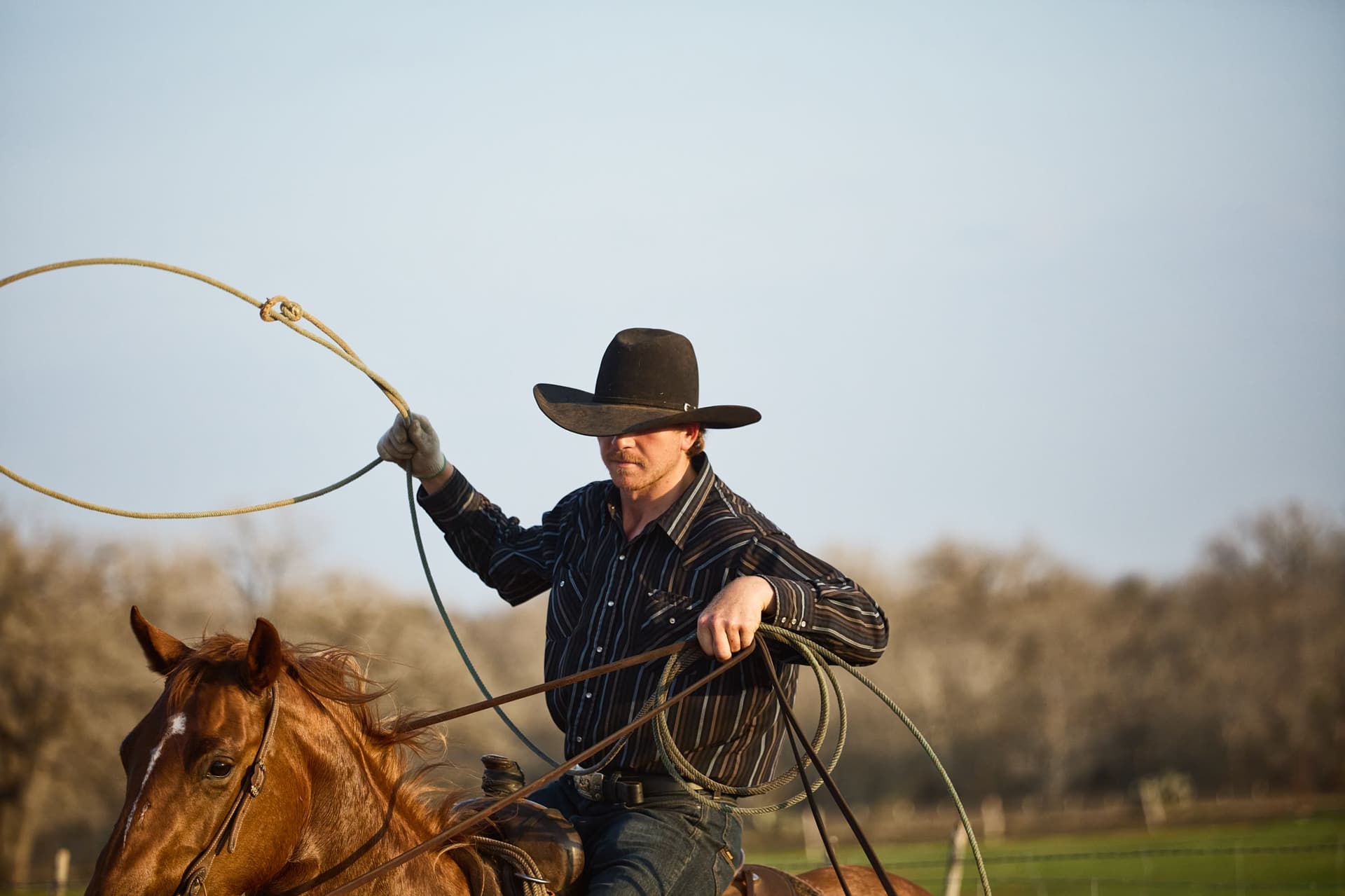 lasso cowboy on a horse