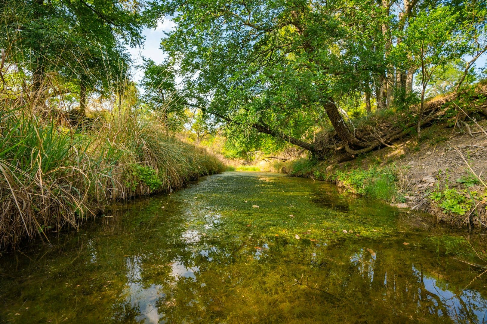 500 Acres in Comfort County